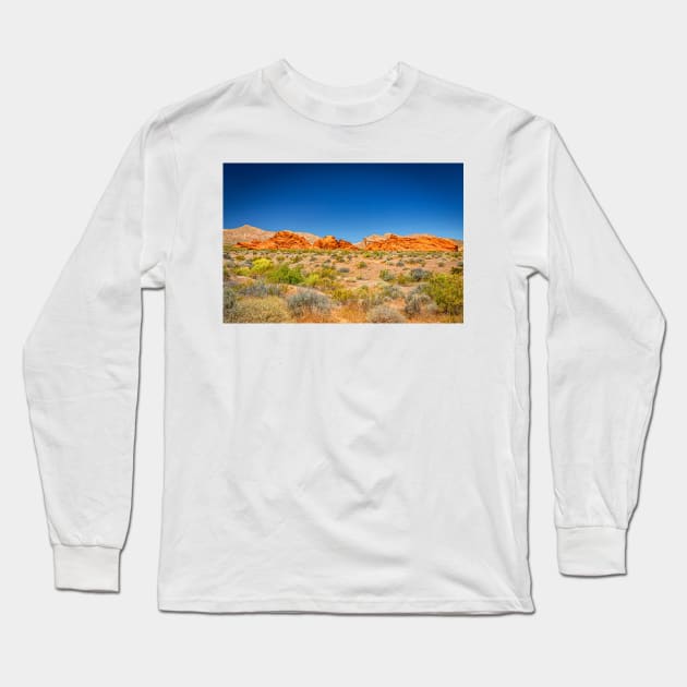 Valley of Fire State Park Long Sleeve T-Shirt by Gestalt Imagery